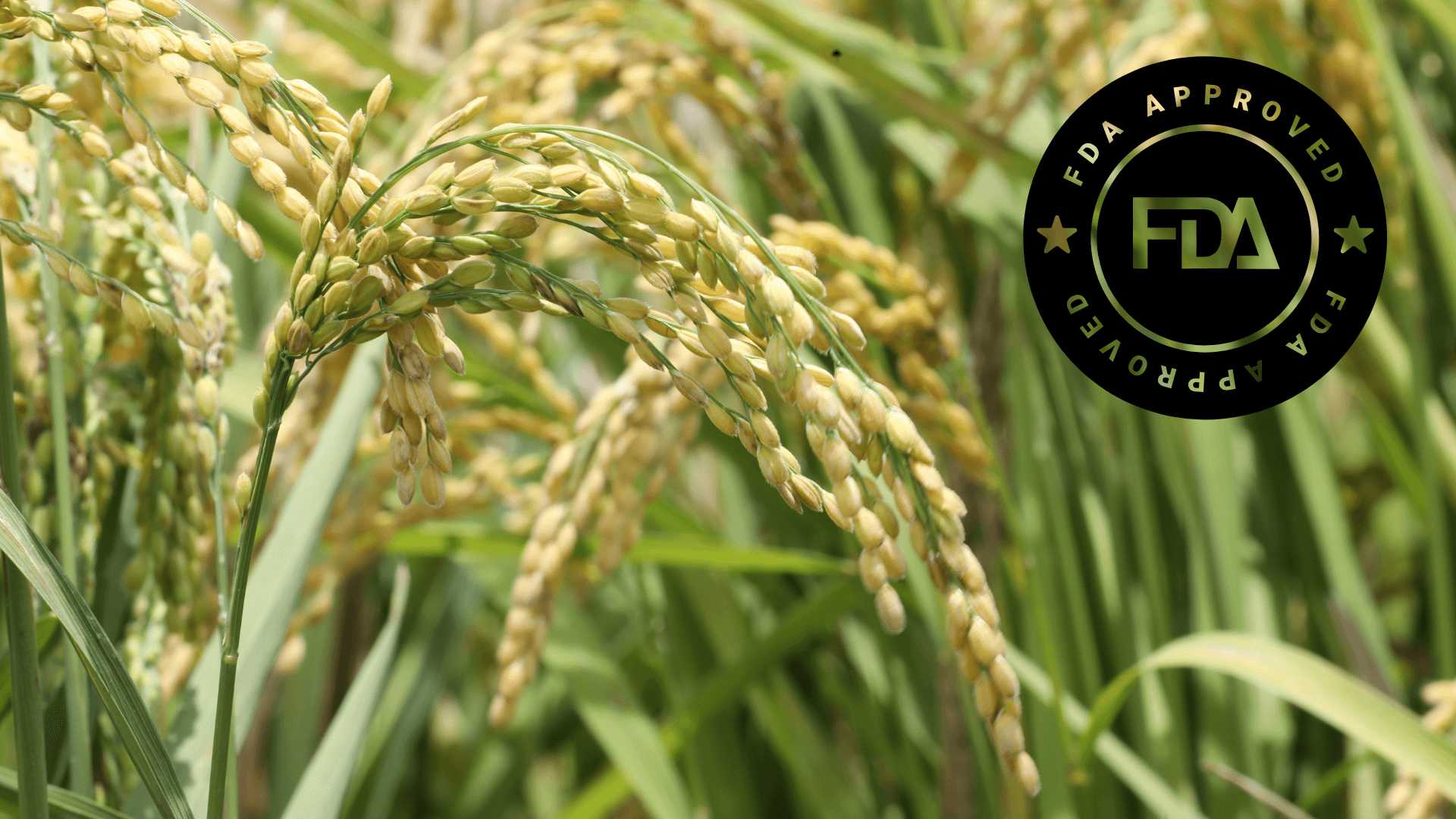 BRM Agro Receives FDA Approval
