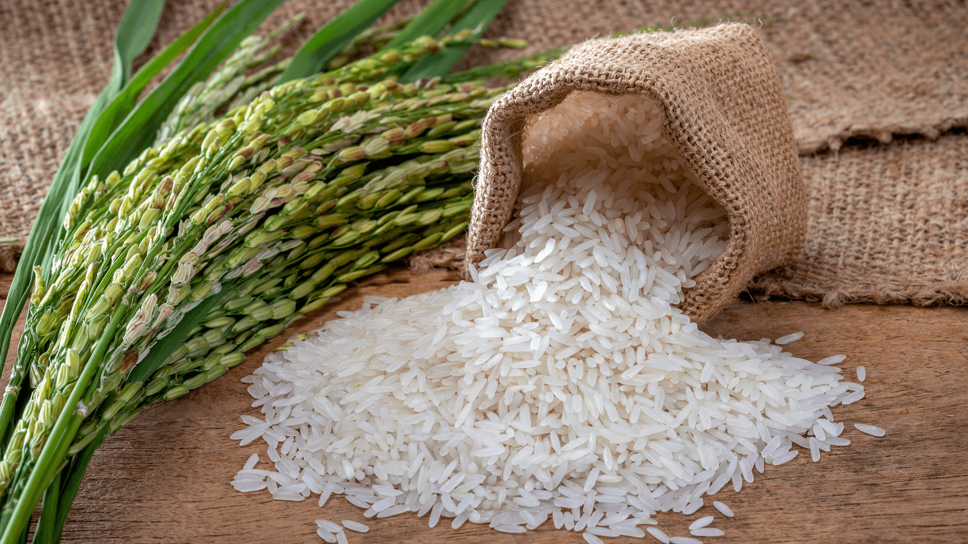 BRM Agro Invests In Fortified Rice